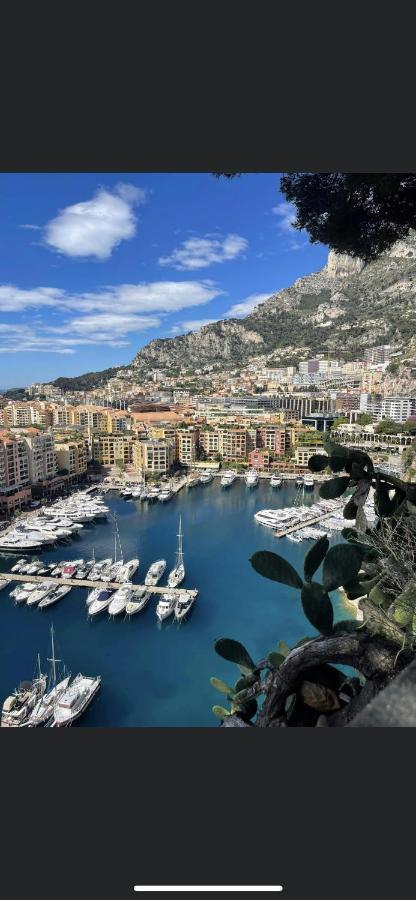 Superbe 2P Vue Mer, Ensoleille, Piscine Roquebrune-Cap-Martin Ngoại thất bức ảnh